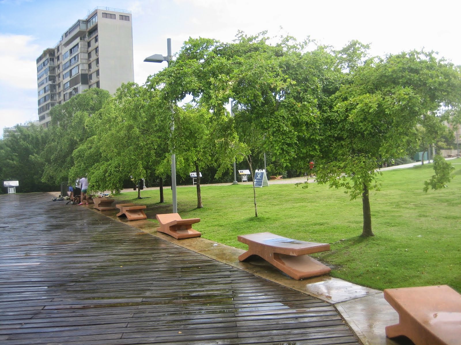 TREES PLANTED TOO CLOSE TO EACH OTHER AND PAVEMENT