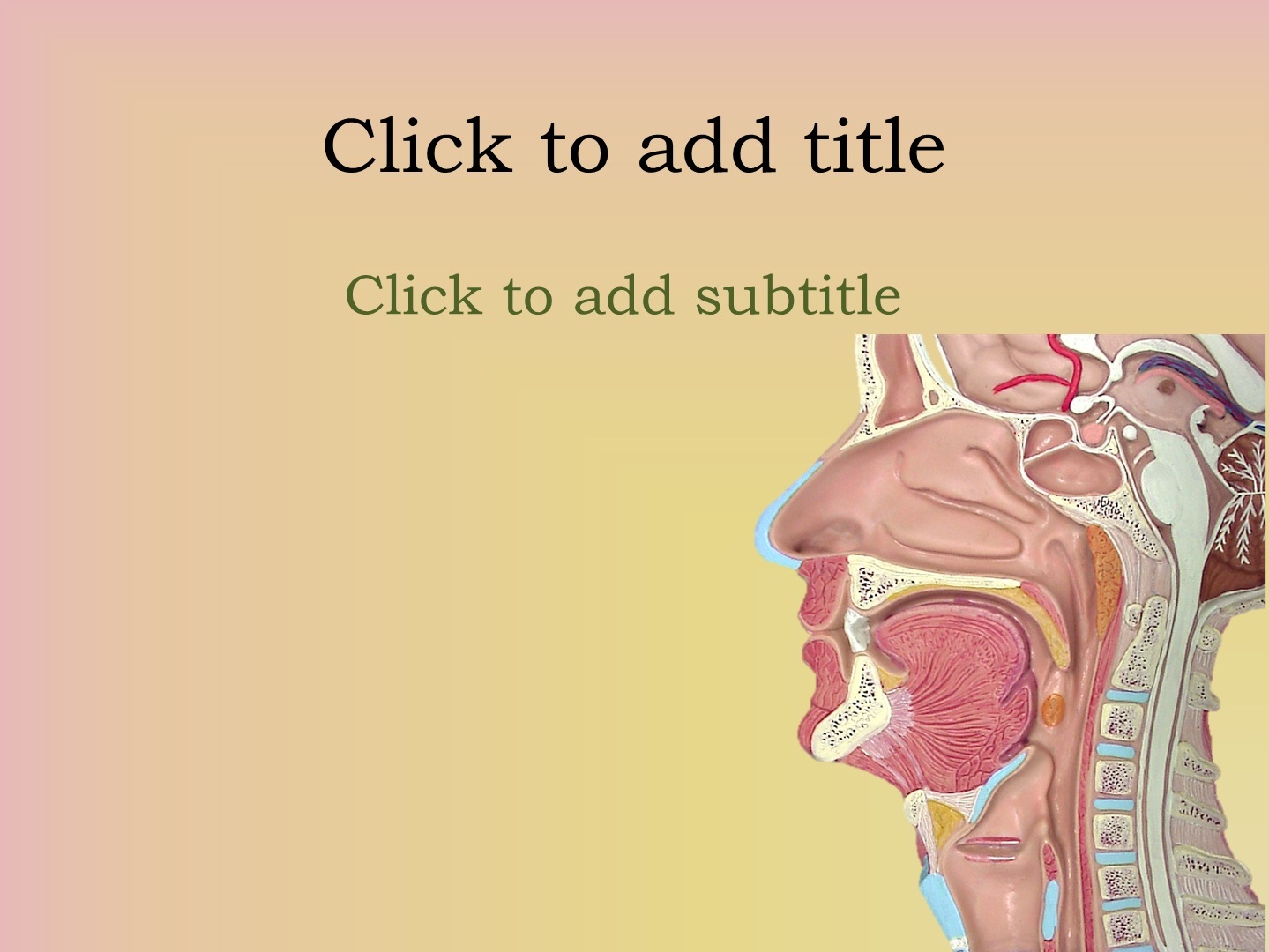 free medical powerpoint templates