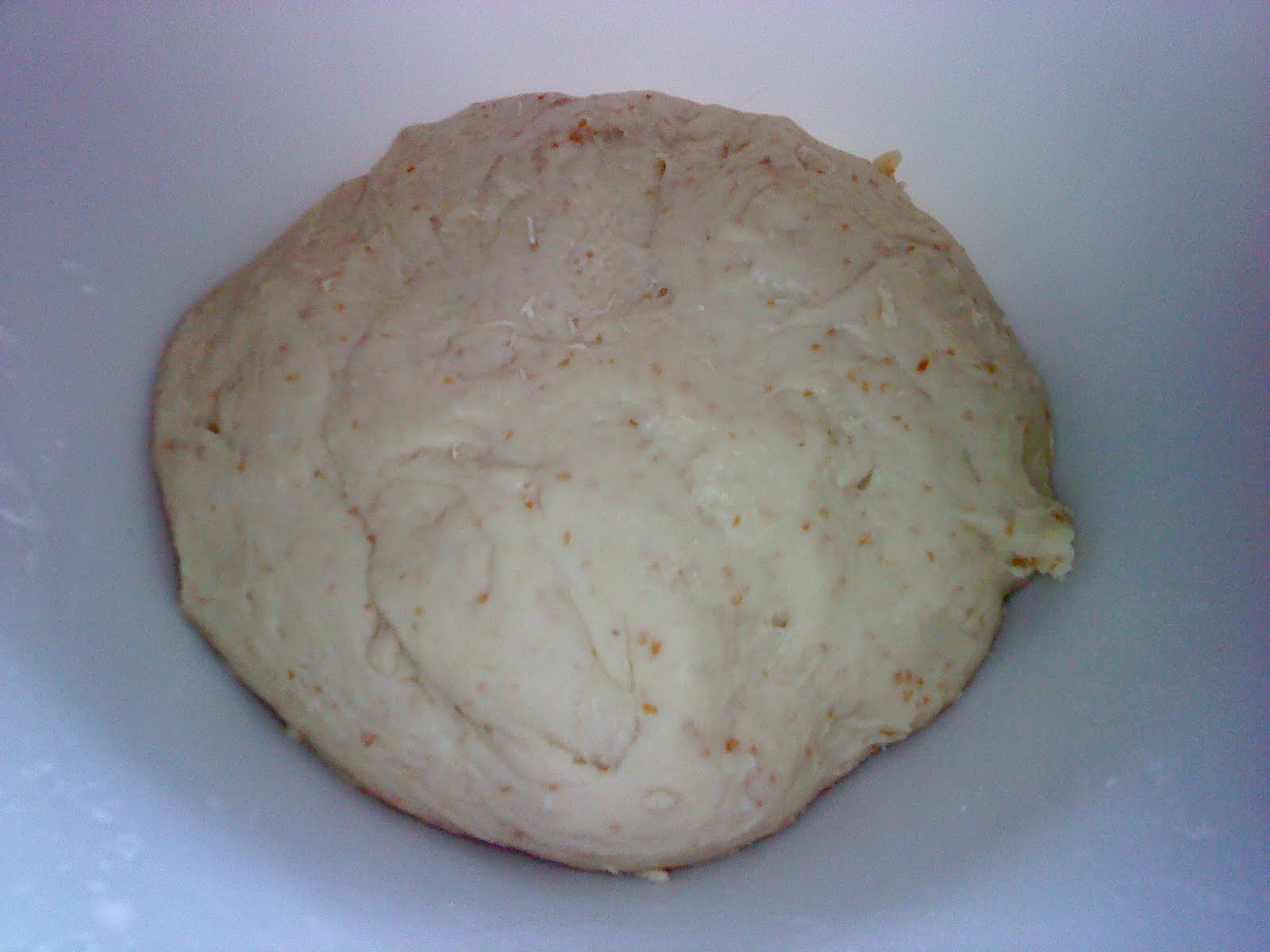 Cooking Pleasure YOGHURT BREAD LOAF [STRAIGHT DOUGH METHOD]