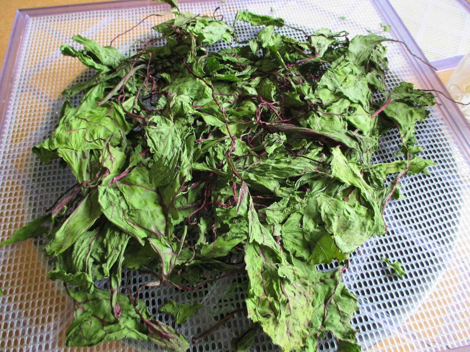 The Deliberate Agrarian Making Dried GreensFor Winter Nutrition