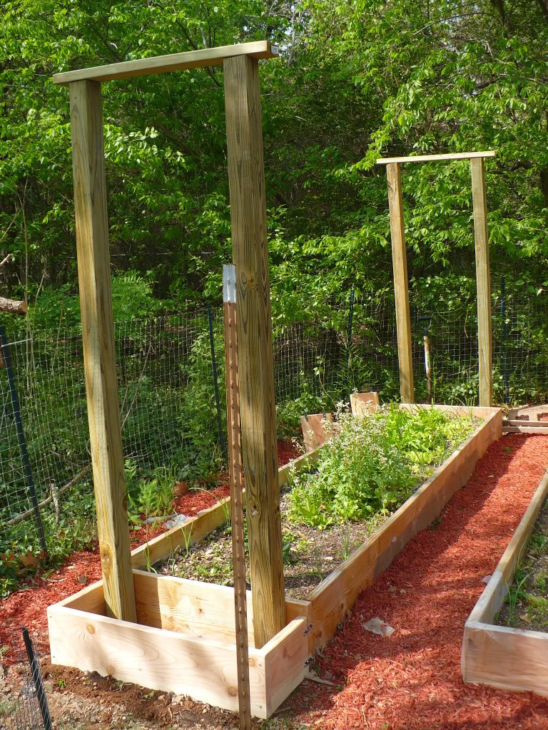 Grape Arbor Kit Arbor Tool Galleries