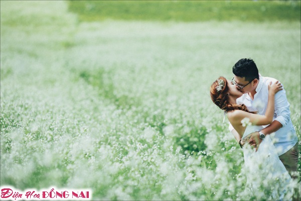 [Image: Chum-anh-cuoi-lang-mang-giua-mua-hoa-Da-Lat-2.jpg]