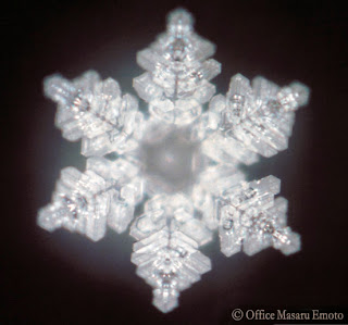 gracias, arigato, thank you, merci, Masaru Emoto gracias, arigato, thank you, merci, Masaru Emoto