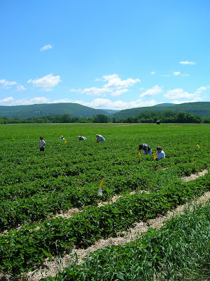 Beginner farmers establish networking community through Catskills CRAFT group