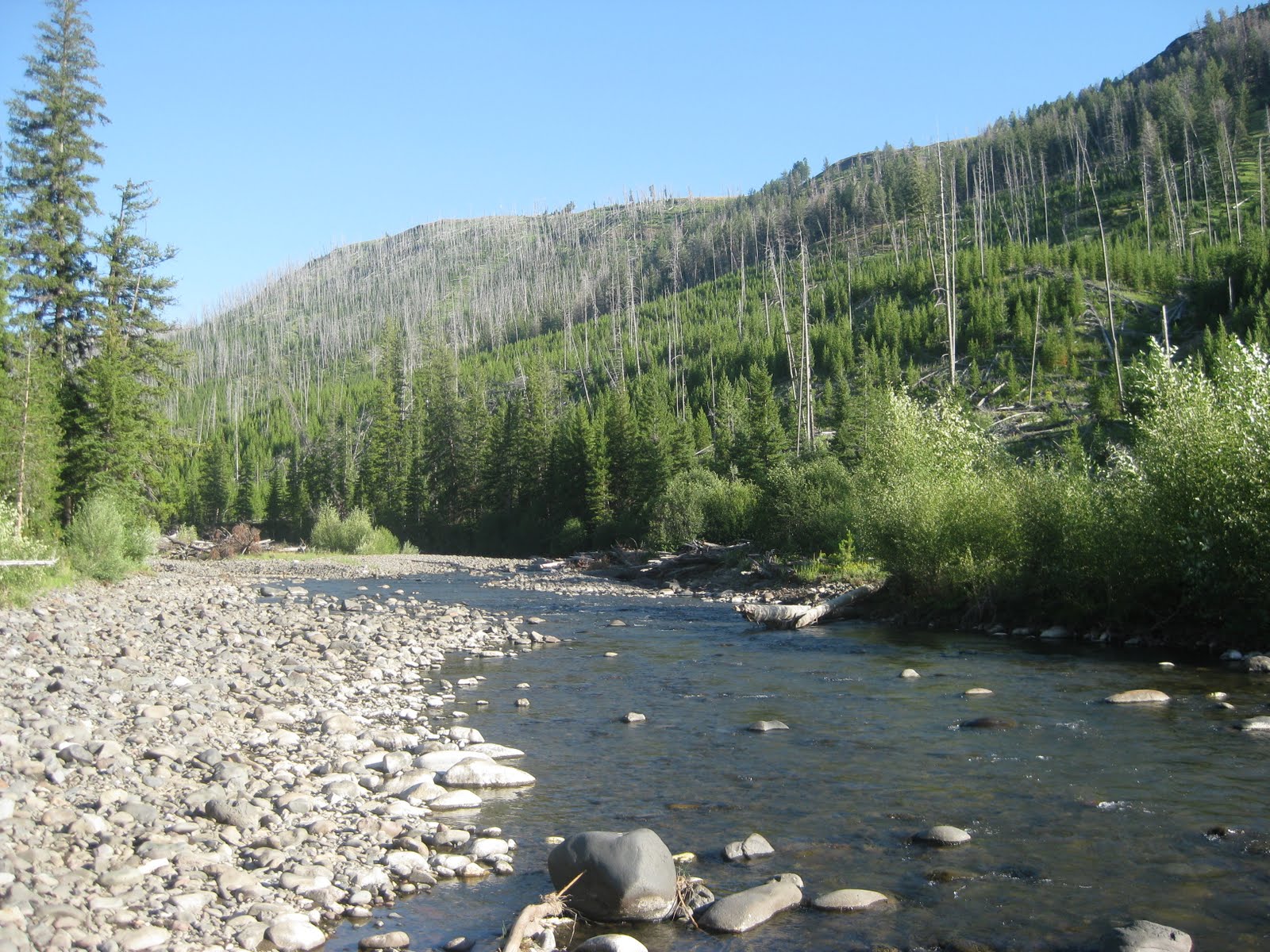 SOUTHWEST ANGLER CACHE CREEK/HELLROARING CREEKYNP