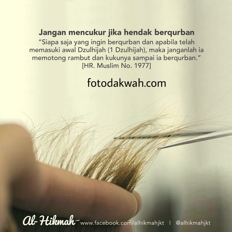 Jangan Potong Rambut Dan Kuku Ketika Hendak Berqurban Foto Dakwah