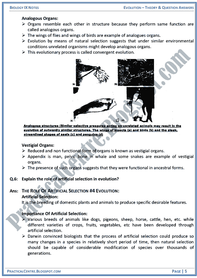 evolution-theory-and-question-answers-biology-ix