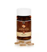 Ganoderma Lucidum con Micelio