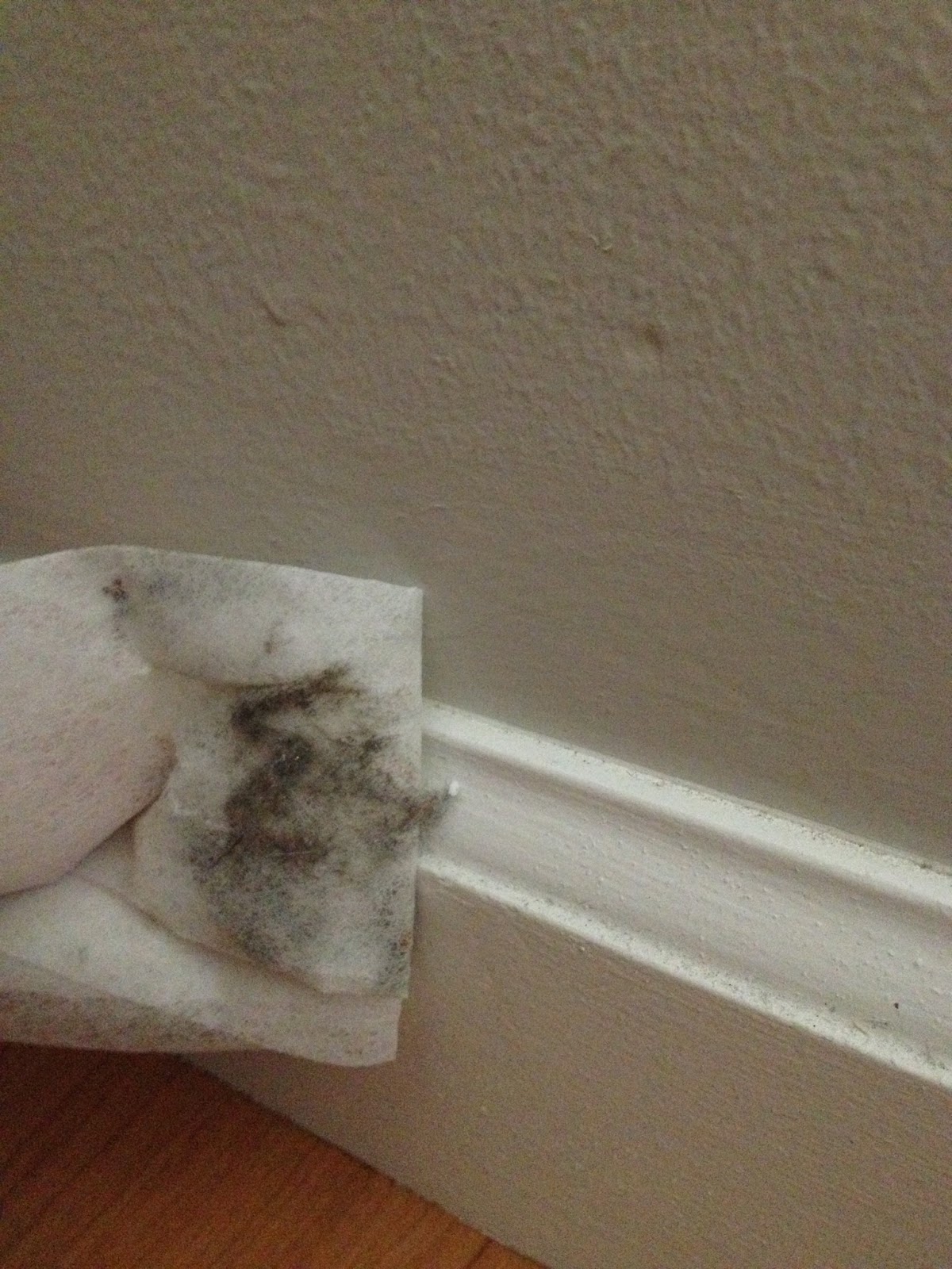 The Everyday Cinderella Dust all the baseboards in your house with ease!