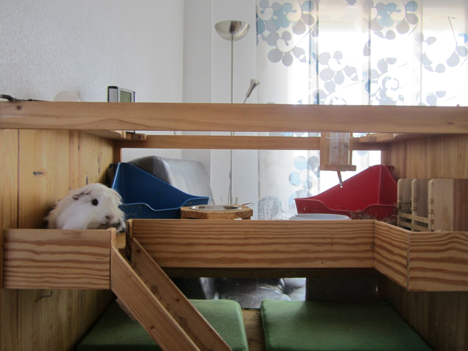 Cobayas a lo loco Casa para cobayas La casita en verano