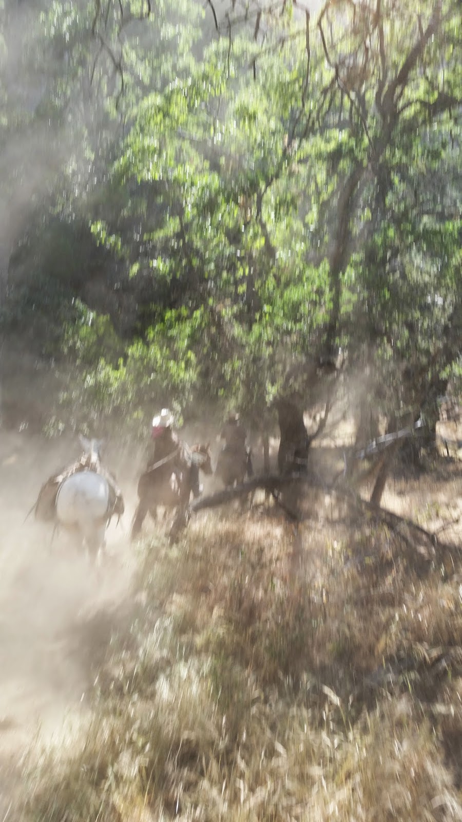 Buckaroo Barbie: Life On Poso Creek