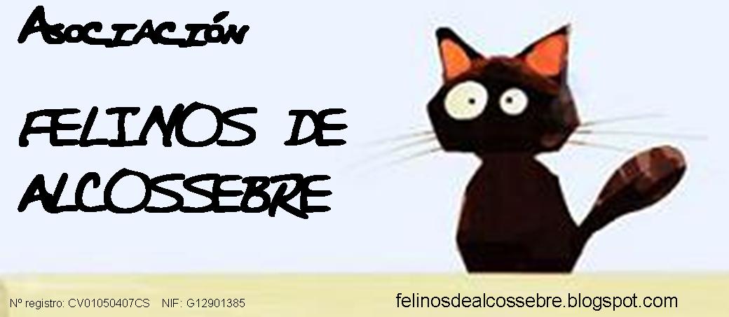 felinosdealcossebre