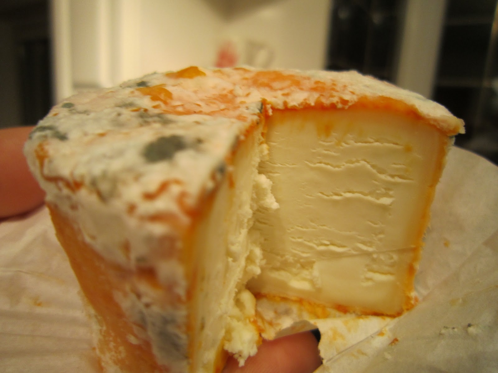 mould on cheese