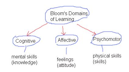 CBSE Papers, Questions, Answers, MCQ: CTET - CHILD DEVELOPMENT AND