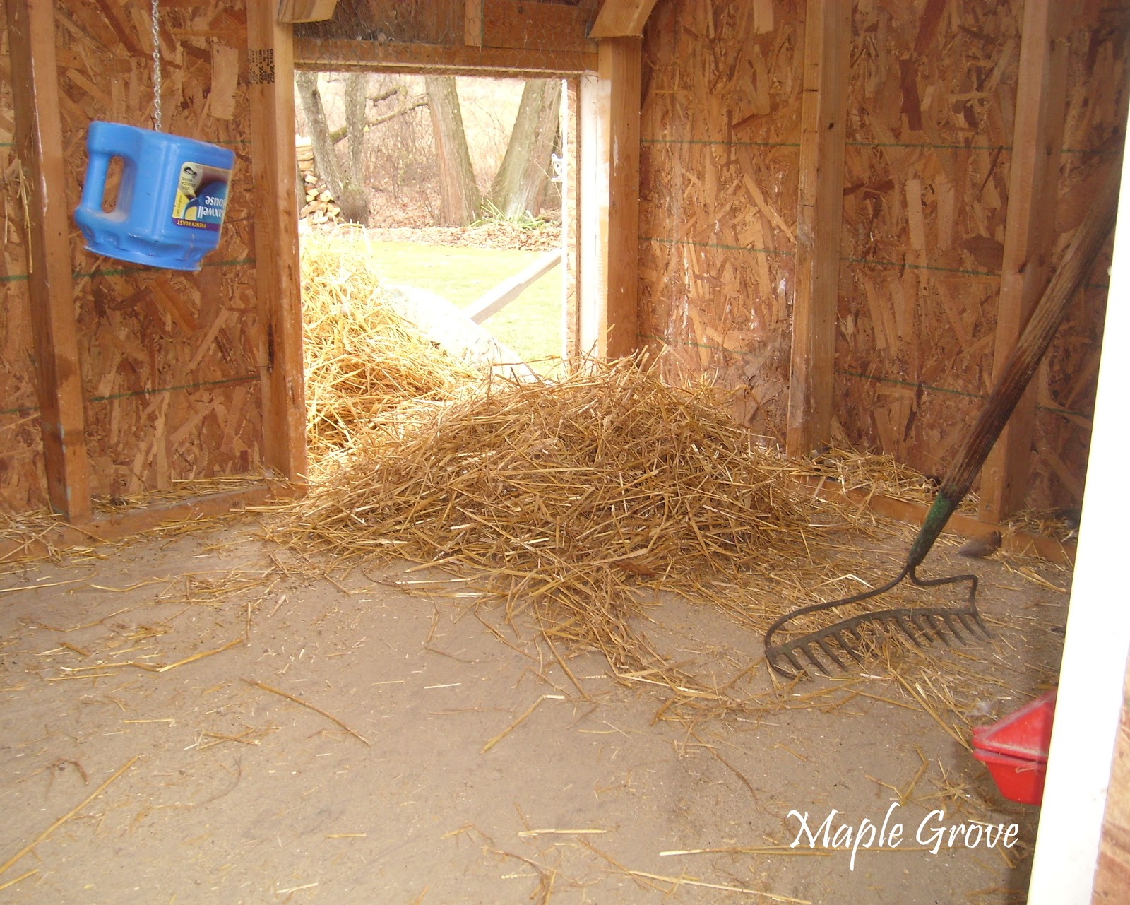 Maple Grove Cleaning the Hen House
