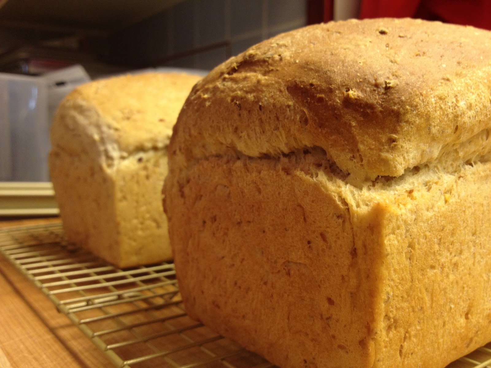 Food Resolutions Whole Wheat Multigrain Bread using Yogurt Whey