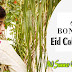 Bonanza Eid Collection 2013 For Ladies | Beautiful Occasional Wear Dresses For Mid Summer Season