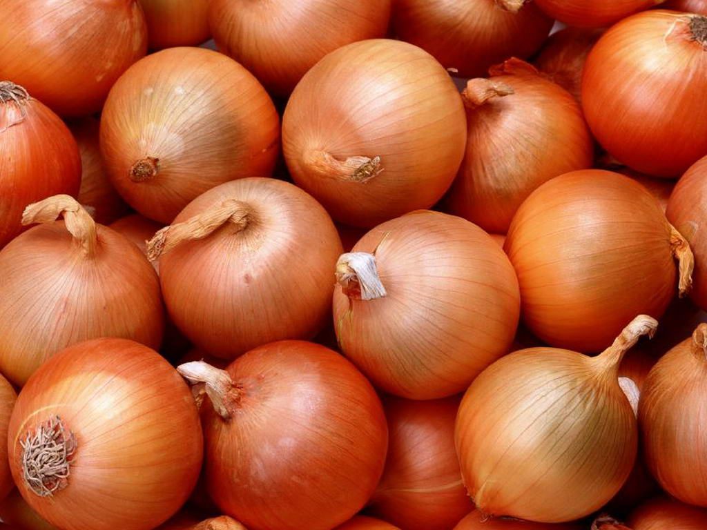 فوائد البصل الصحية والعلاجية فى جسم الإنسان Yellow+Onions