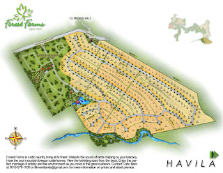 Forest Farms Angono at Havila Site Development Map