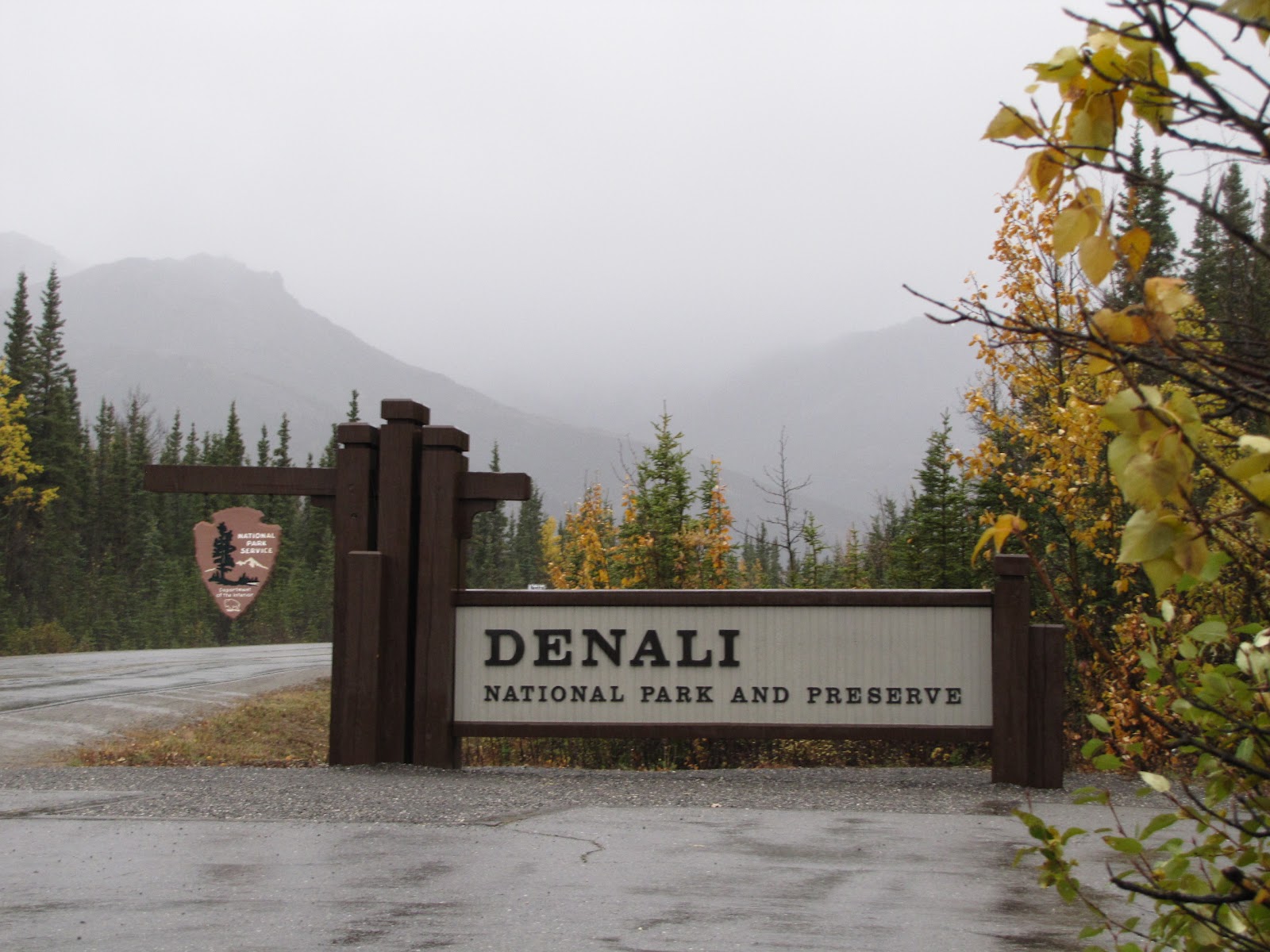 denali national park akstafford views