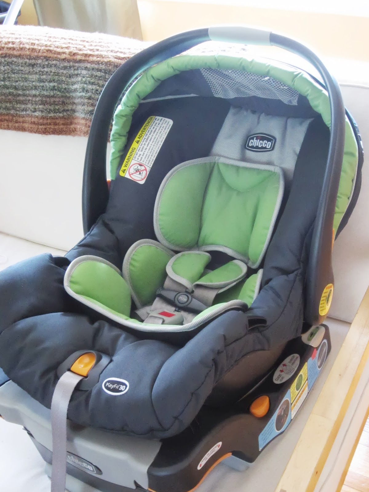 Ackerman Antics Baby Invasion