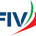 FIV, store telematico e manuale d’uso Logo