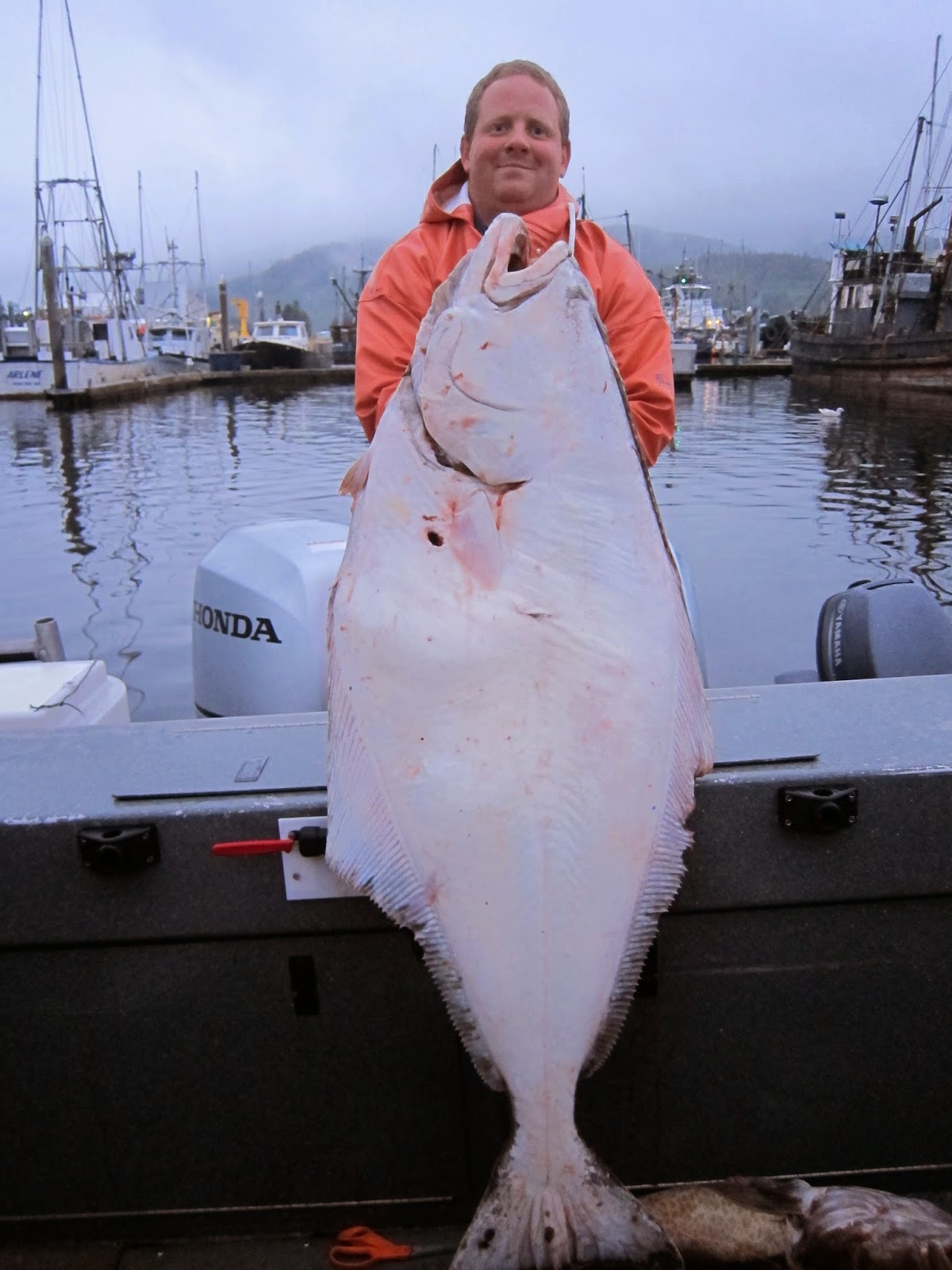 Todds Extreme Fishing Neah Bay halibut, lingcod, & bottom fish!