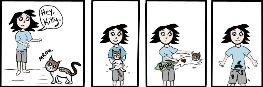 Poopy Cat