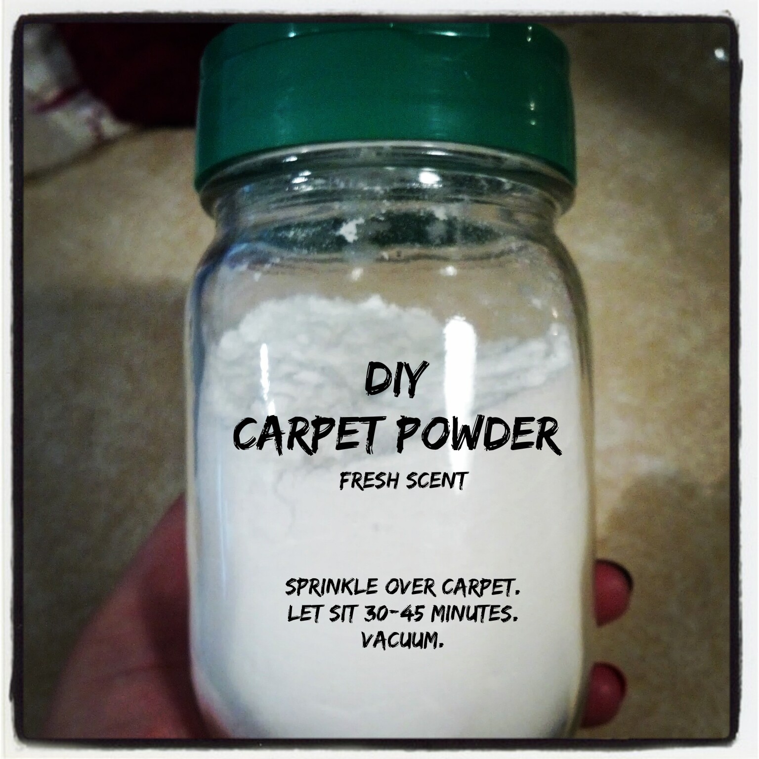 An Onion Exposed DIY Carpet Powder