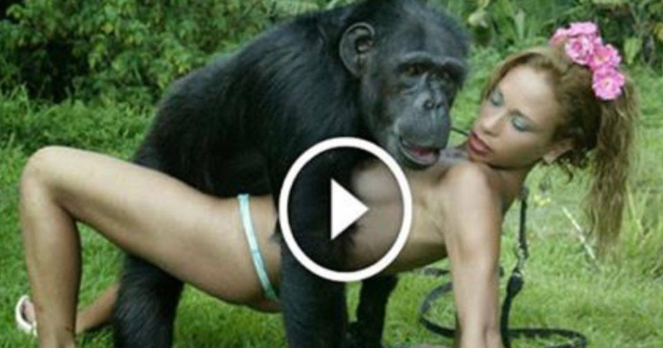 Guy fucks monkey - 🧡 Fucked By Monkey - Porn photos. 