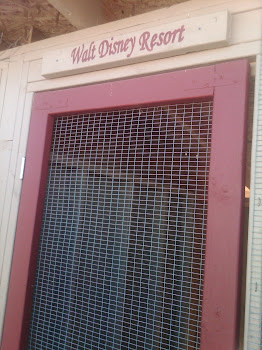 Walt Disney Resort Poultry Stall