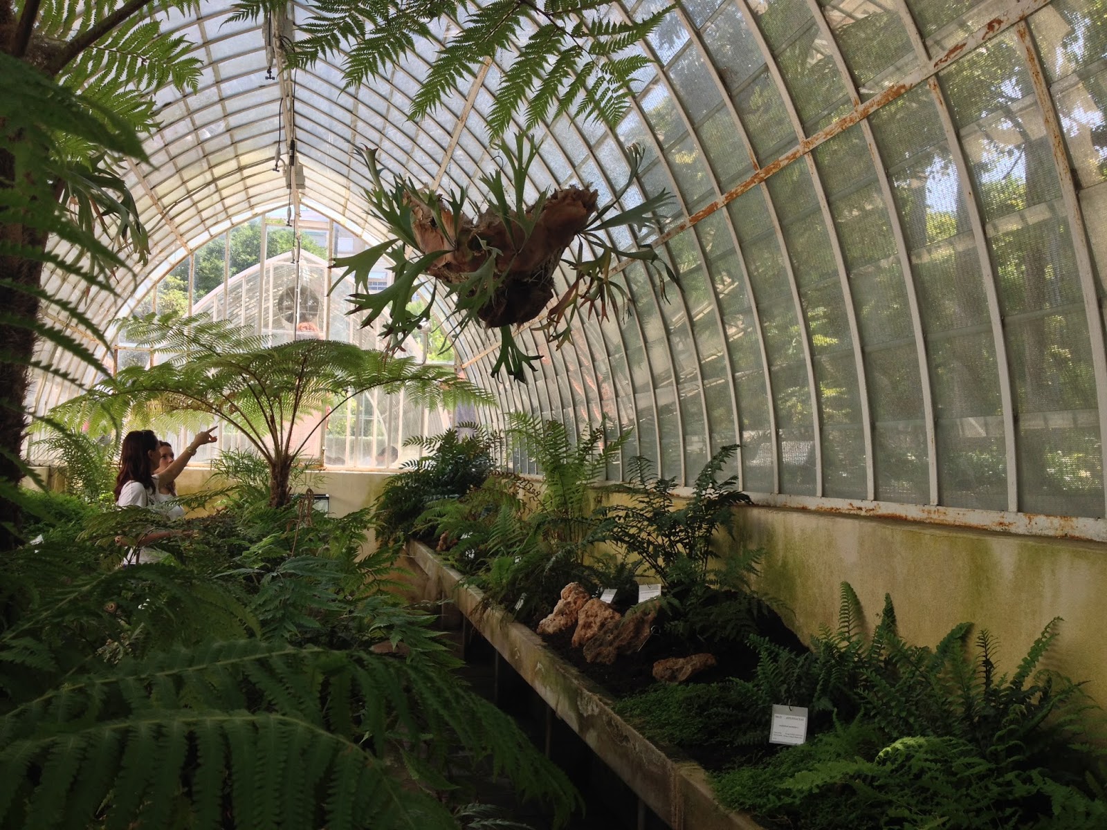JARDÍN BOTÁNICO DE LA UNIVERSIDAD DE VALENCIA. NIVEL A2.TERMINOLOGÍA