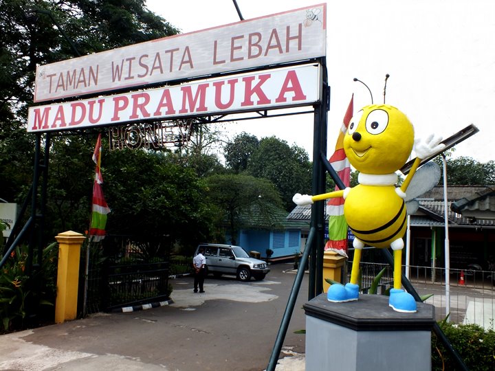 Taman Wisata Lebah Madu Pramuka Park Cibubur Honeybee Scouts