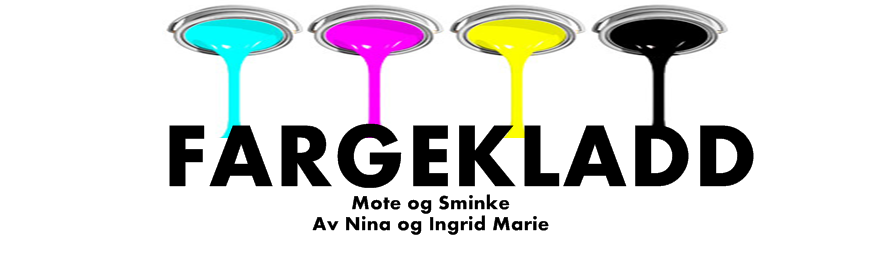 Fargekladd