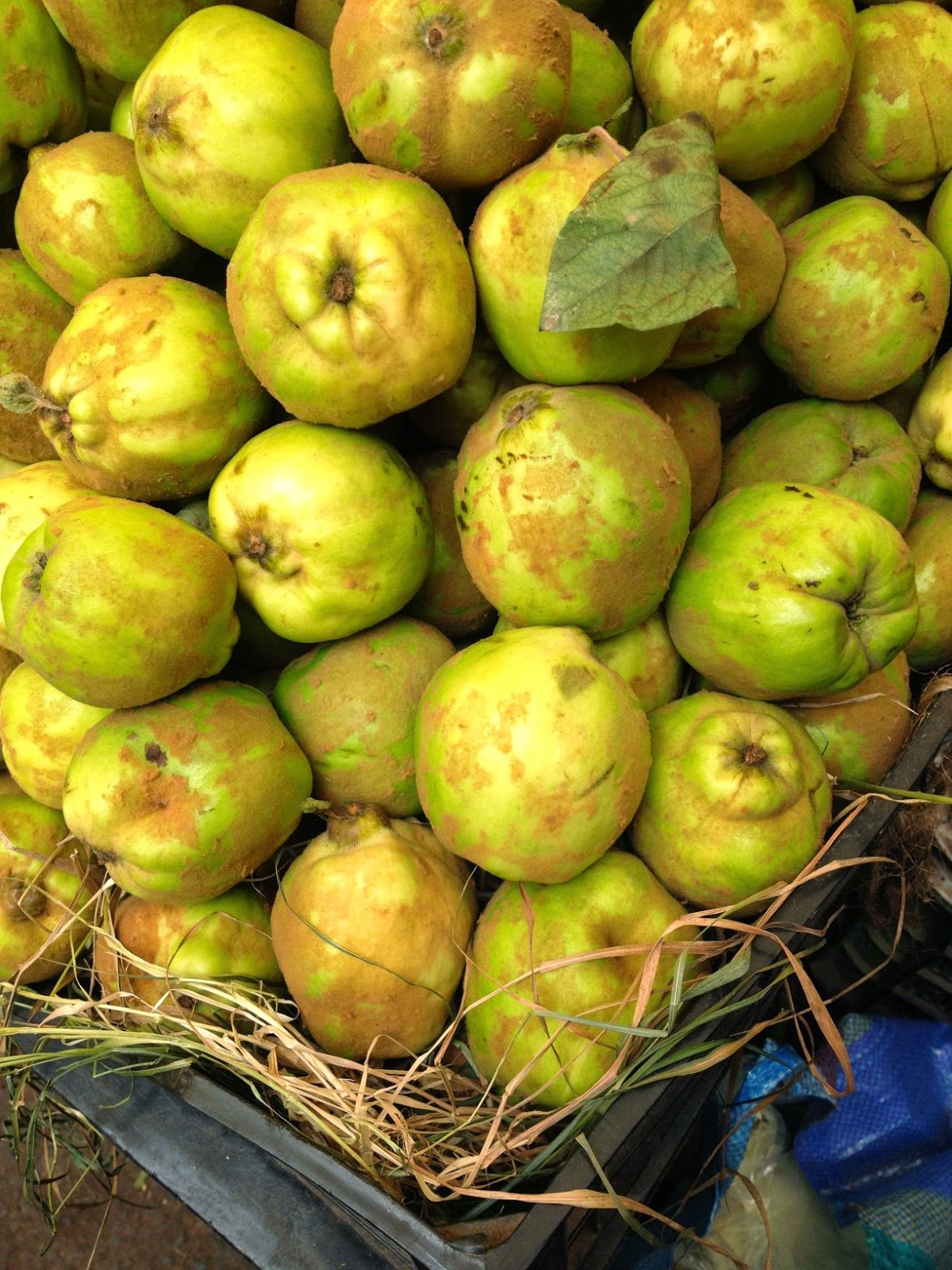 Moroccan quince tagine with semicaramelized onions Fleur d'oranger