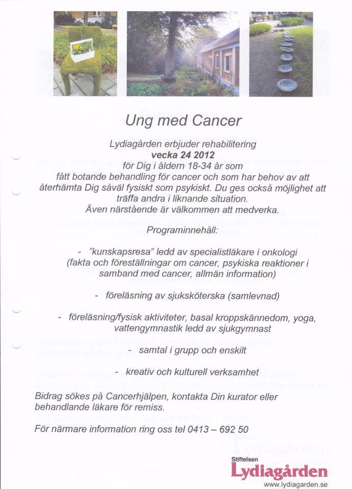 dejting för unga jobb