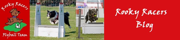 Rooky Racers Flyball Team