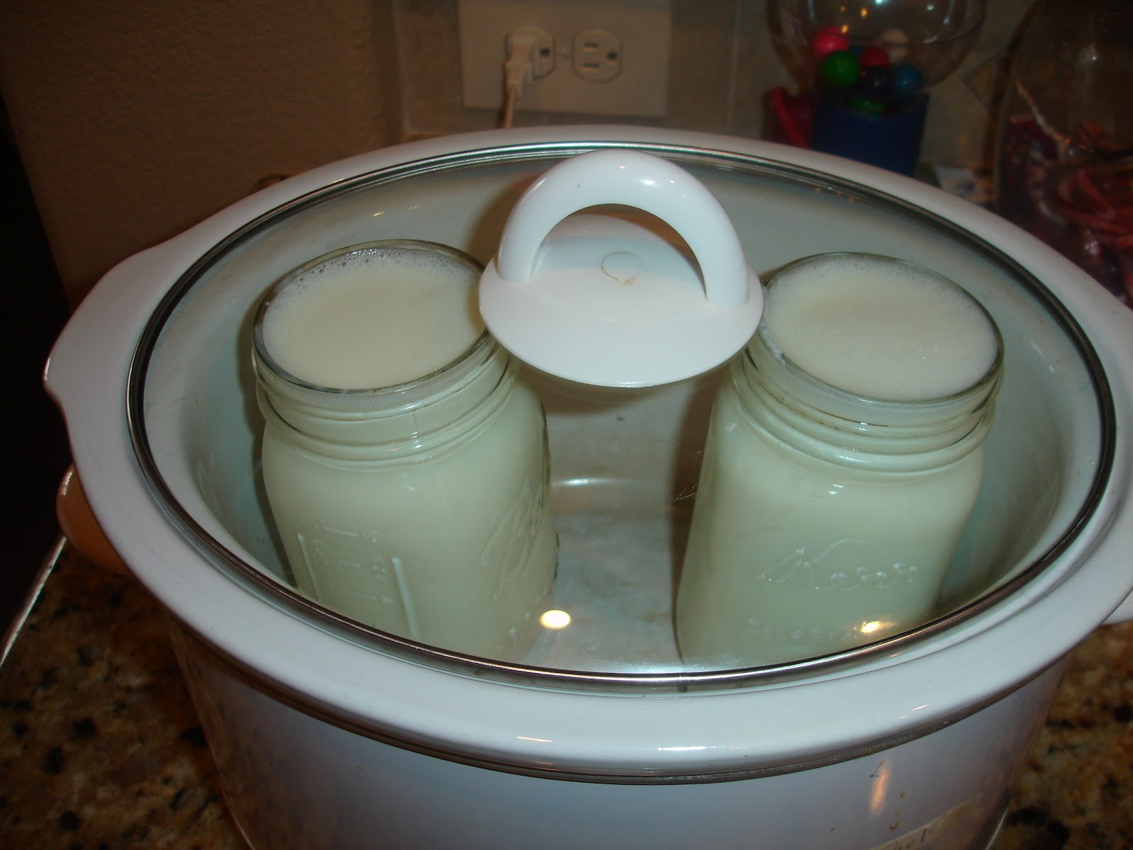 Our Provident Life Yogurt in a Crock Pot
