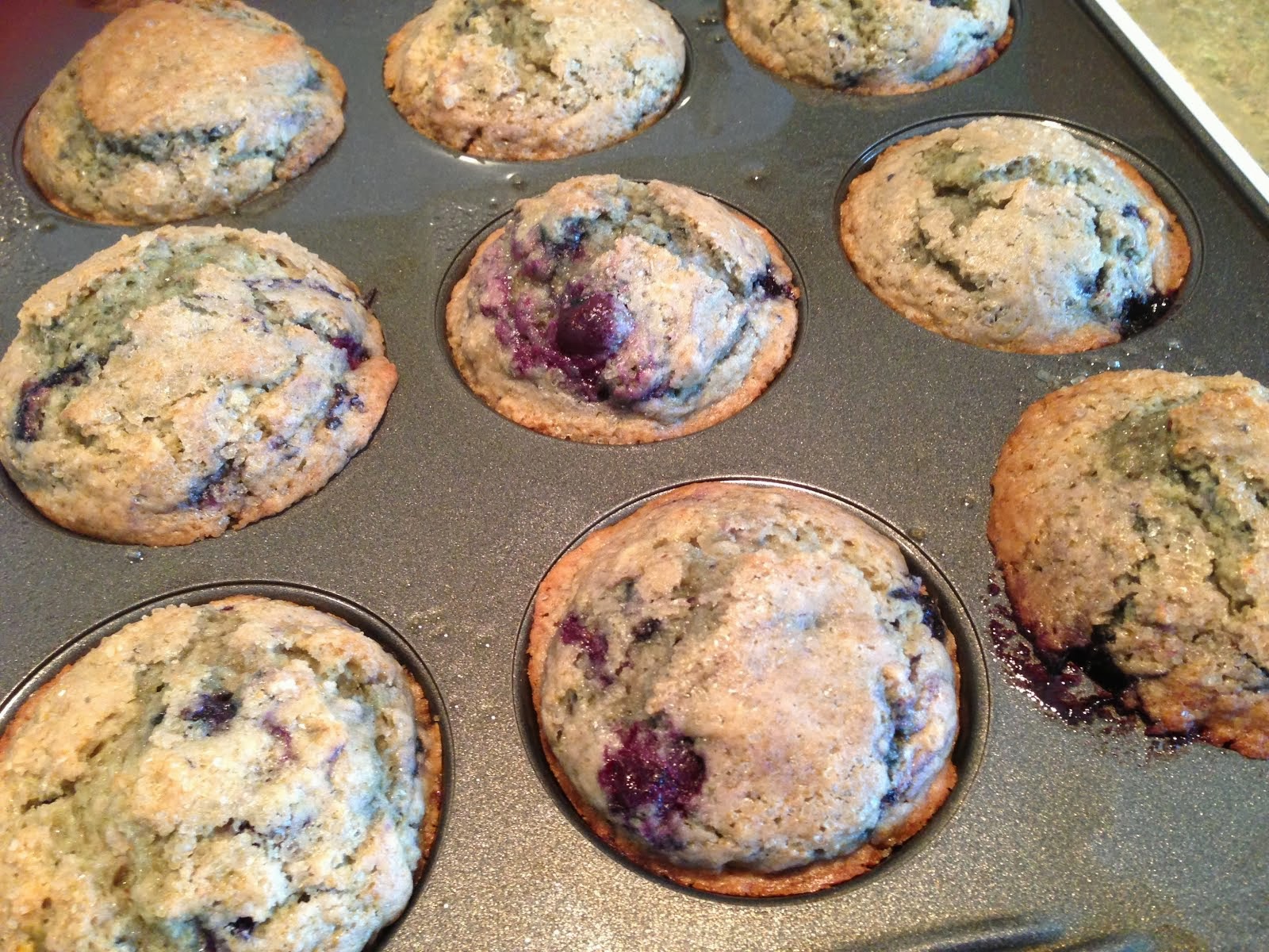 Sam's Brain Food Double Blueberry Muffins (Glutenfree Dairyfree)