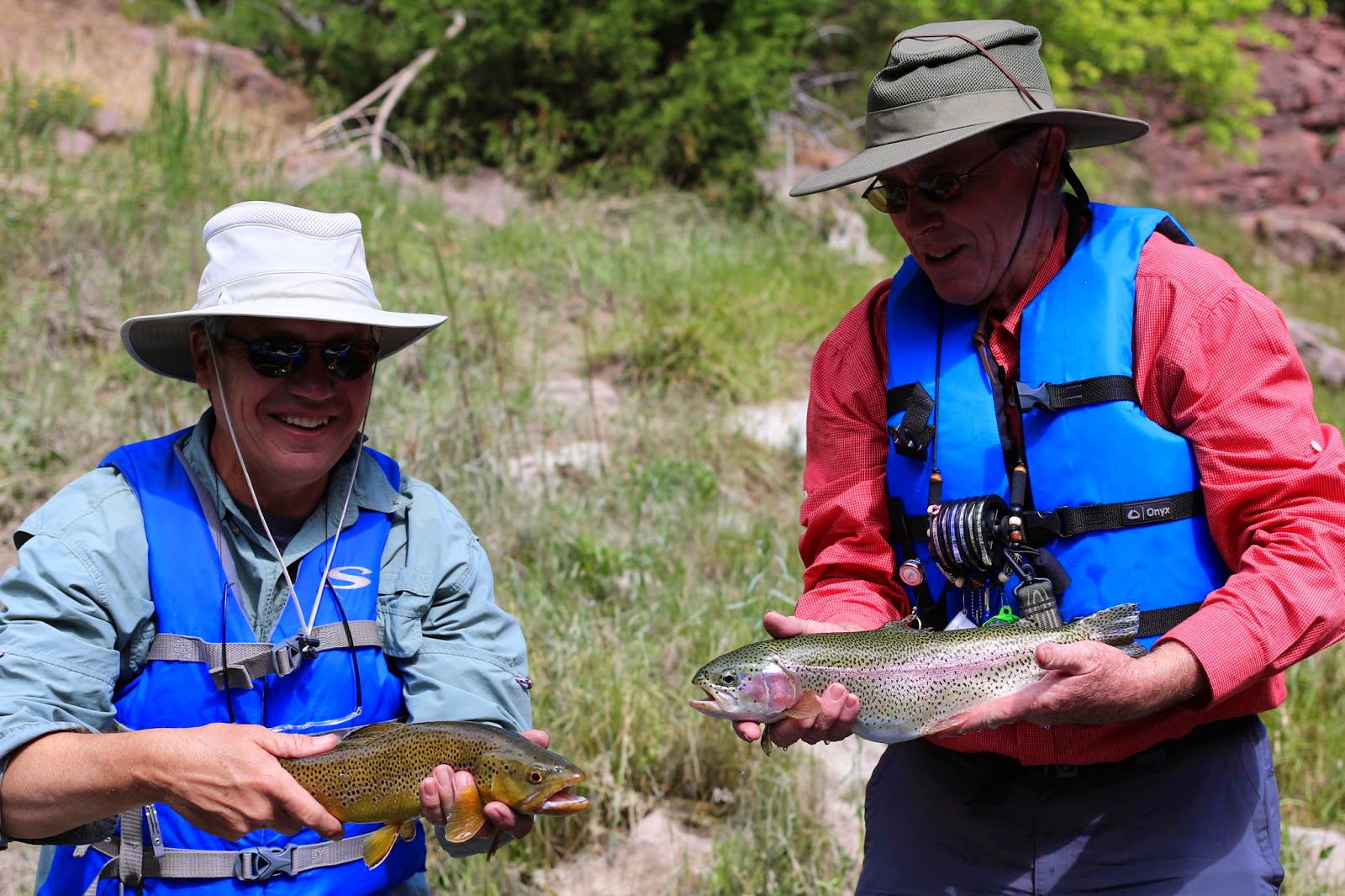 Green+river+flyfishing+during+Cicada+hatch+in+june+2014++with+Jay+Scott+Outdoors+3.JPG