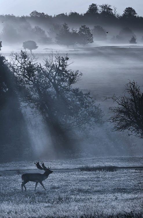 IMAGENES FOTOS PAISAJES Y MAS PARA FONDOS Y DIAPOSITIVAS: noviembre 2013