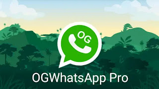Download ogwhatsapp pro alexmods Latest Version 