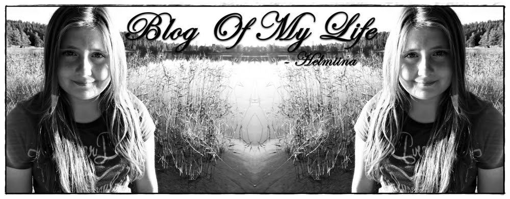 Blog of my life
