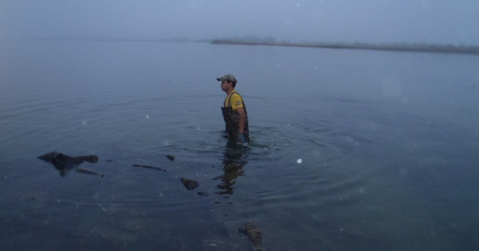 Massachusetts Oyster Project Seasonal Oyster Jobs in Scenic Rhode Island