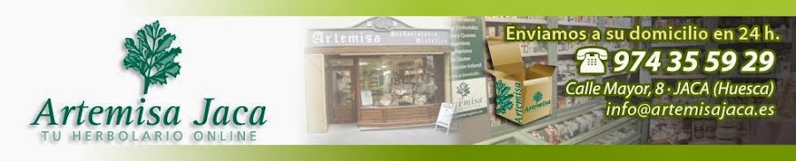 Artemisa Jaca, Nuestra Tienda