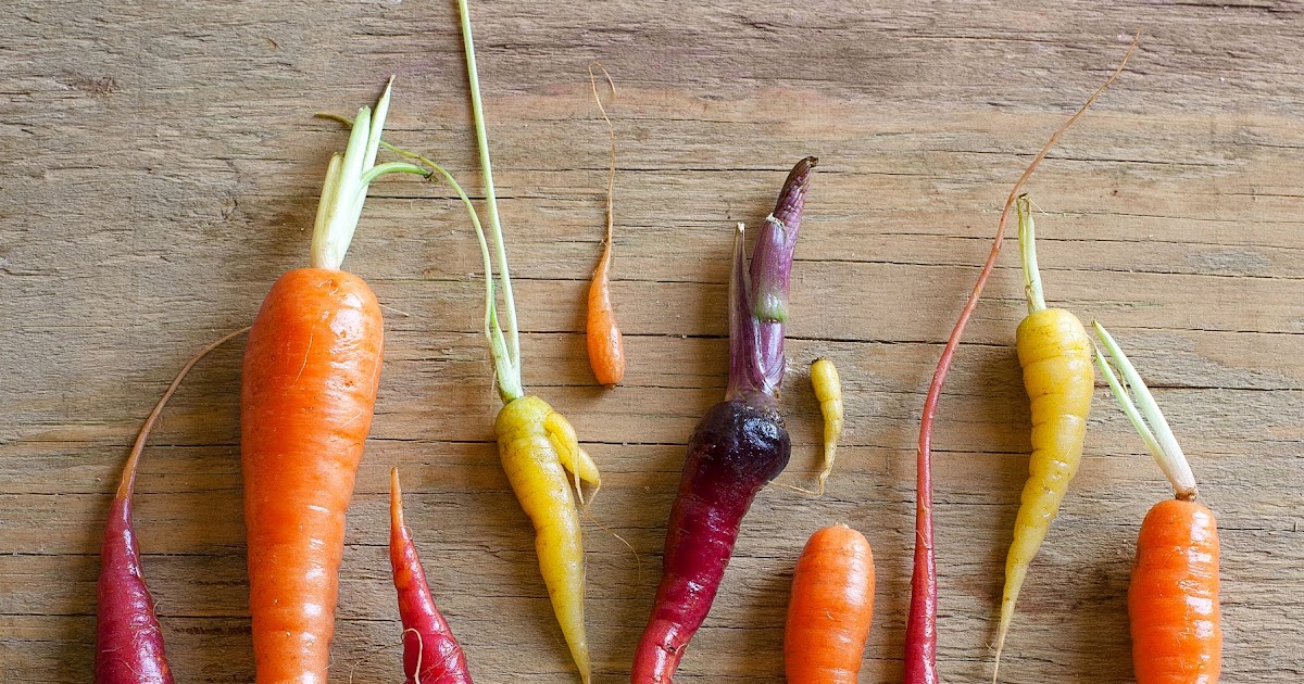 KAILEY J. FLYNN PHOTOGRAPHY Kaleidoscope carrots, fresh strawberries