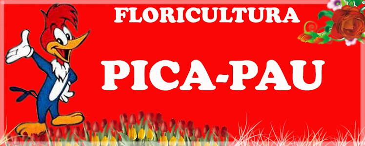 Floricultura Pica-Pau sumaré