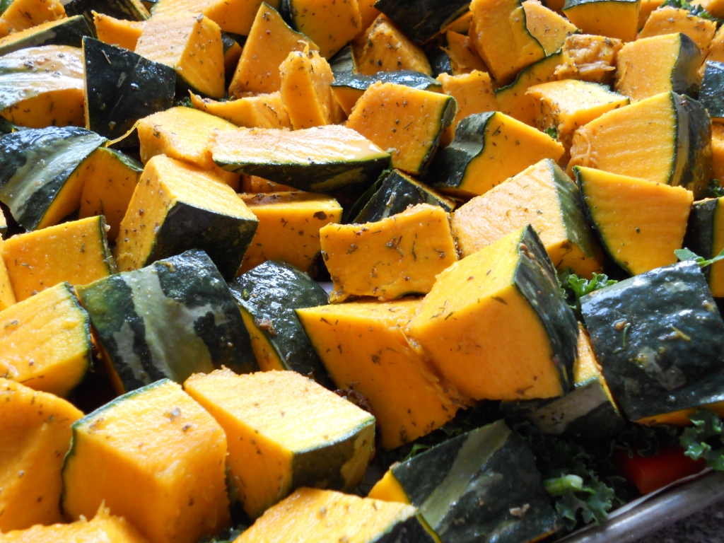 Snacking Squirrel Restocking My Squash Supply