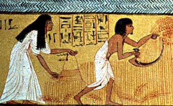 [Image: Agriculture+in+Ancient+Egypt+2.jpg]