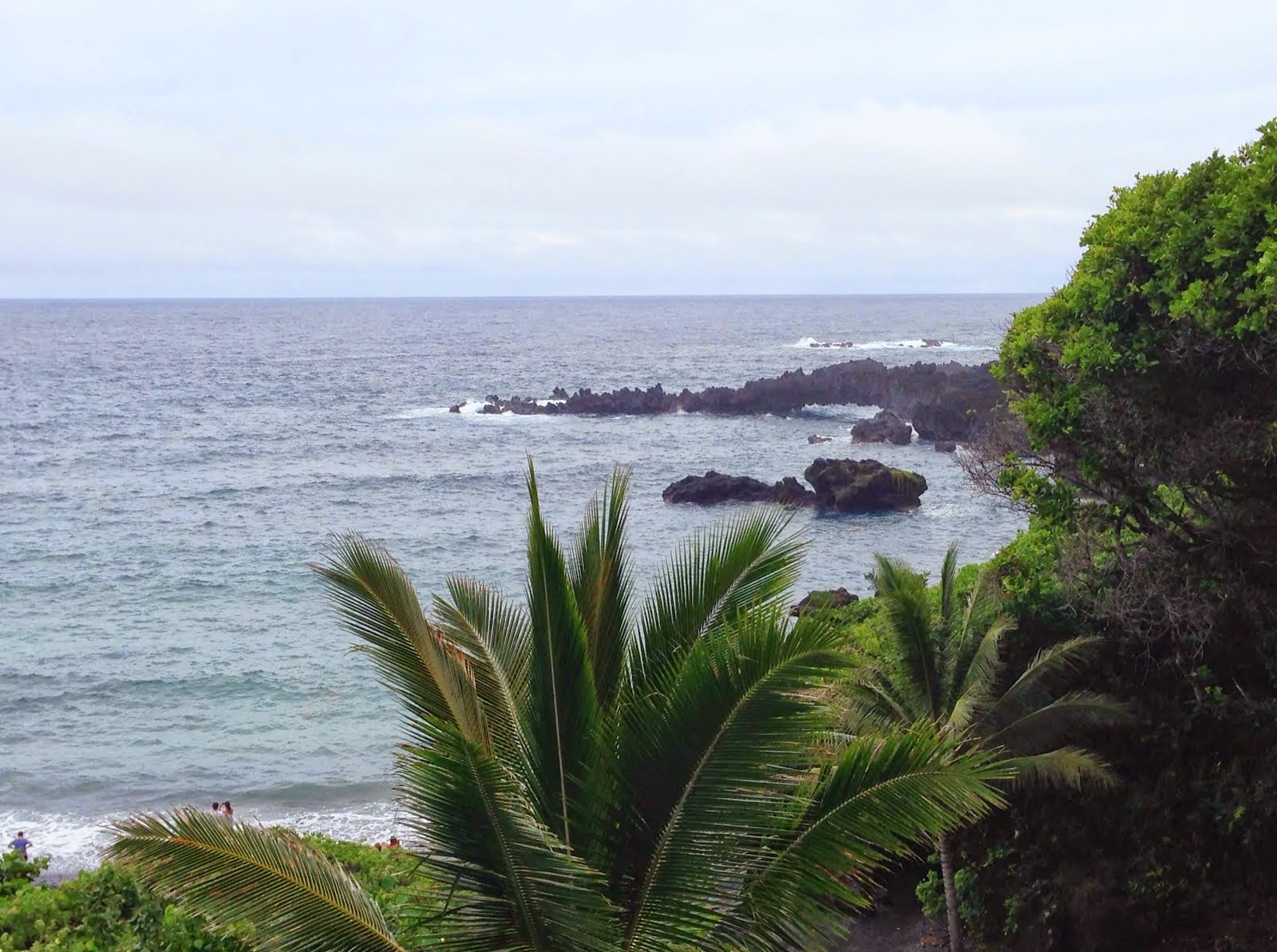 On the Road to Hana